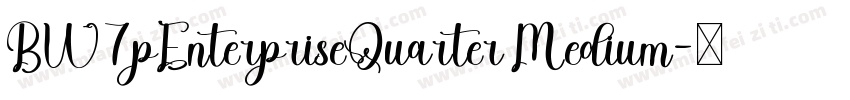 BW7pEnterpriseQuarter Medium字体转换